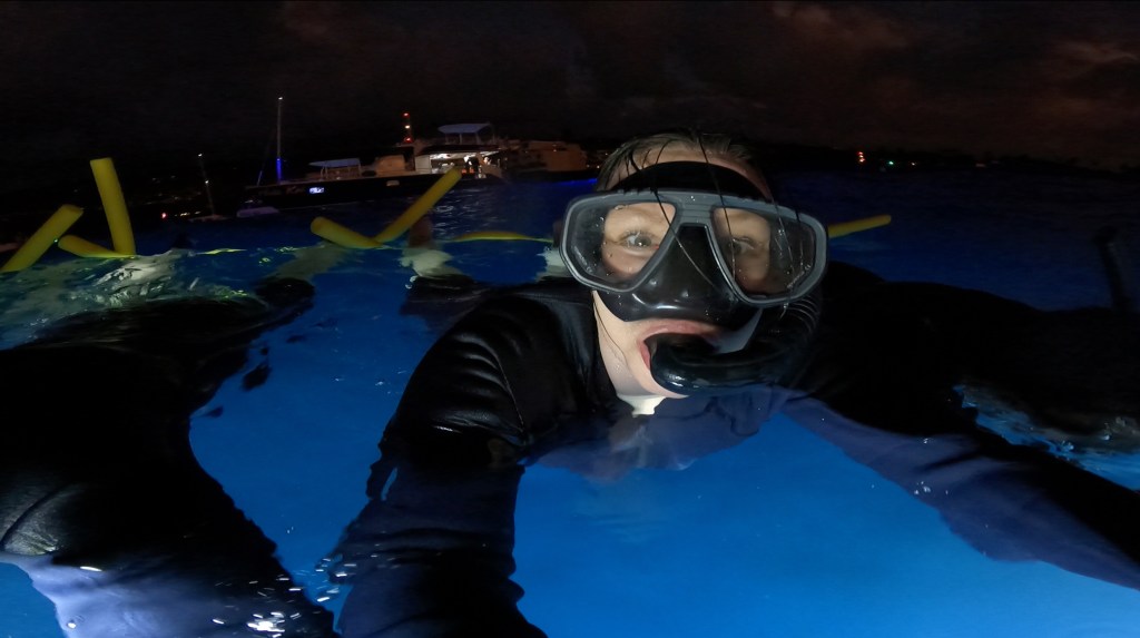 Meeting Manta Rays: Night Snorkeling with Manta Rays in Kona, Hawaii
