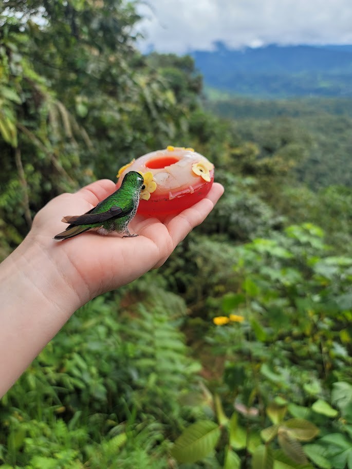 ‘Muy Bonito’: Experiencing Ecuador’s Effortless Elegance